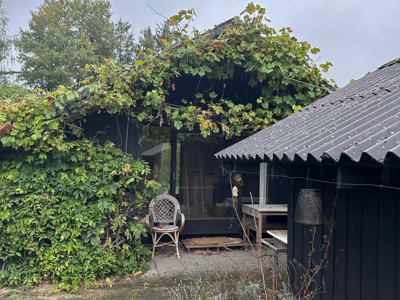 Billede 10 - Skøn kolonihave med fantastisk beliggenhed 