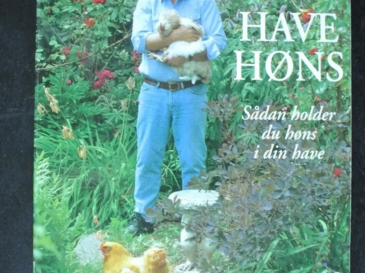 Billede 1 - havehøns - sådan holder du høns i din have, af jør