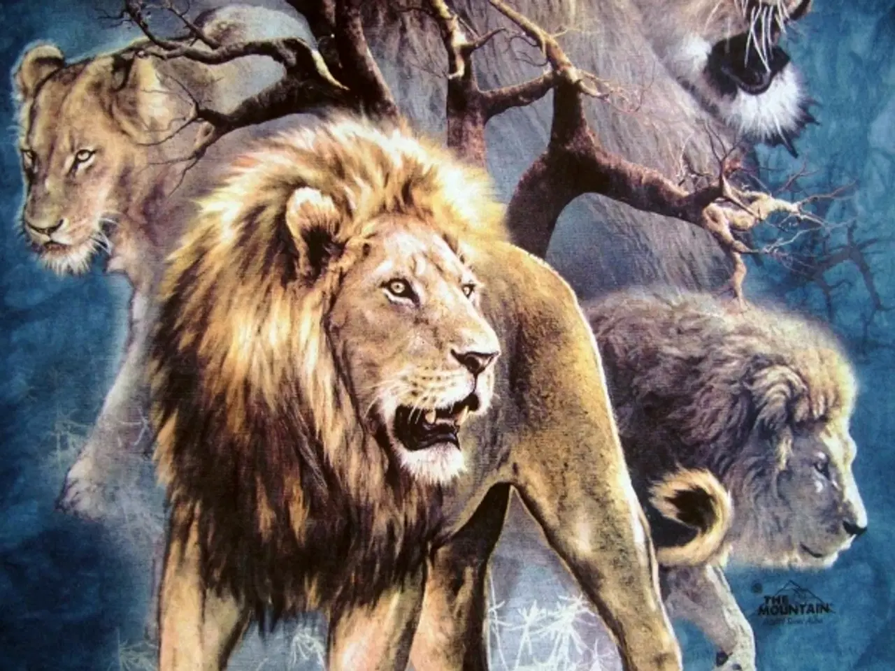 Billede 2 - Superflot The Mountain T-shirt