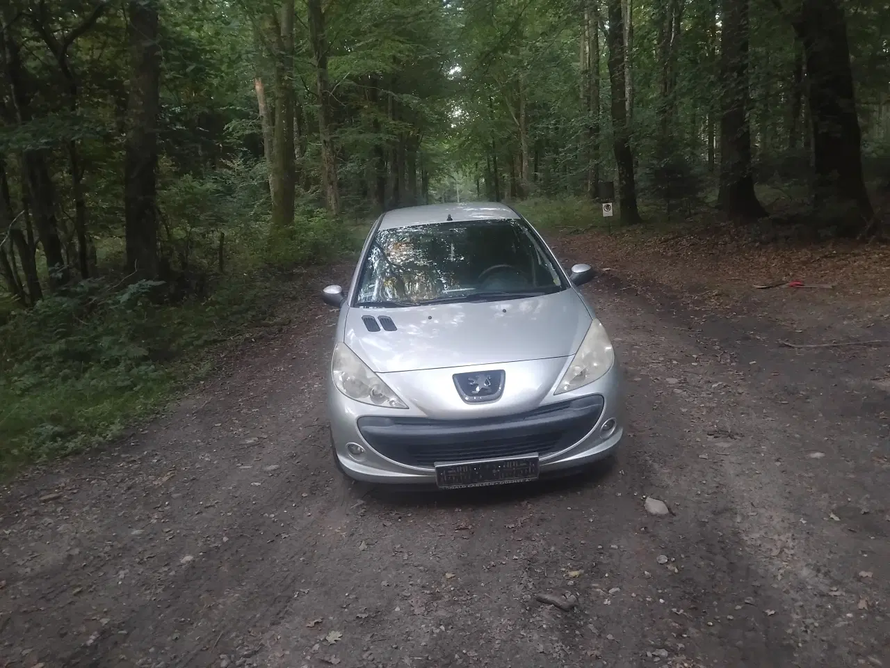 Billede 3 -  peugeot 206+ med partikelfilter 