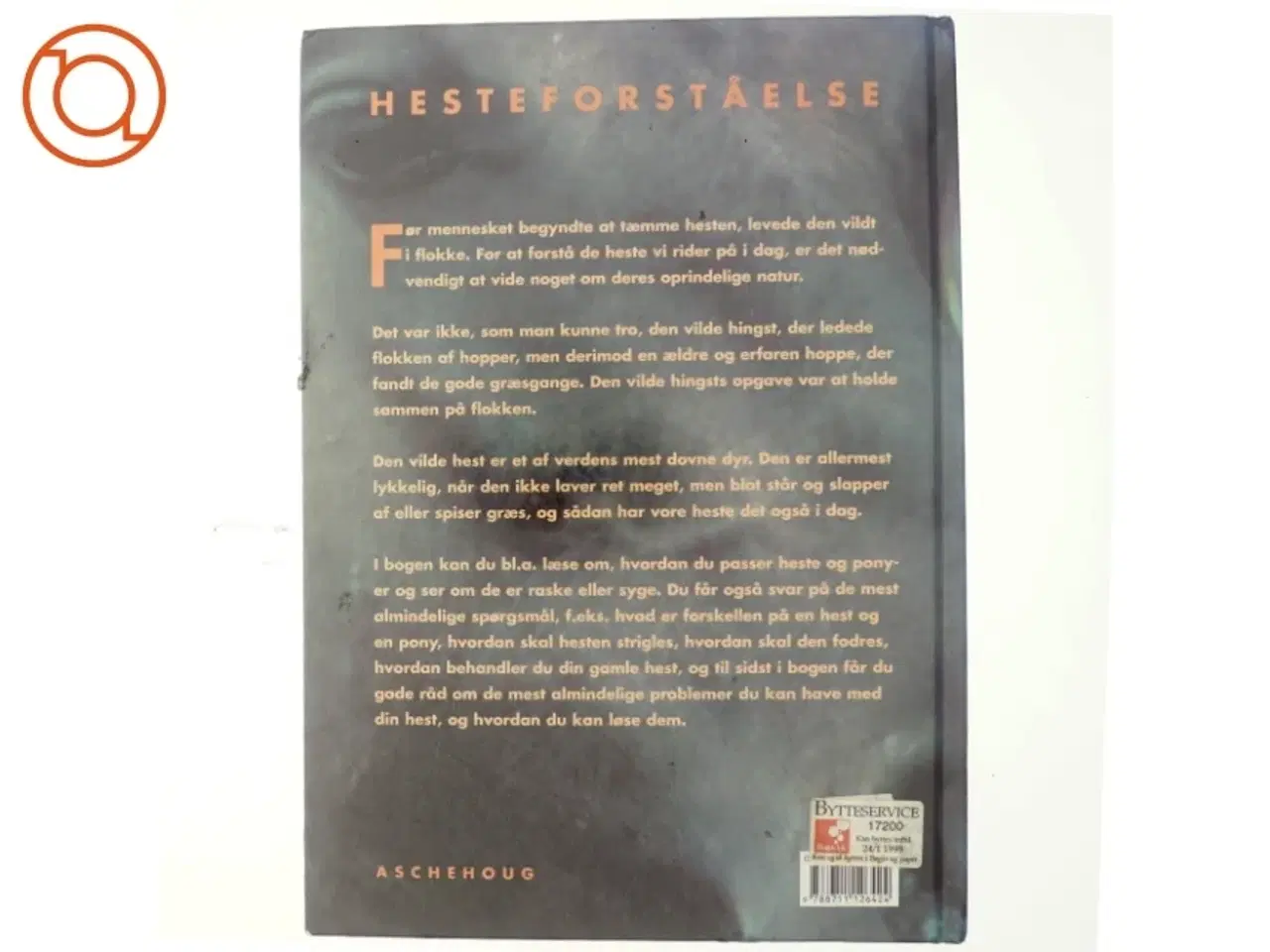 Billede 3 - Hesteforståelse (Bog)