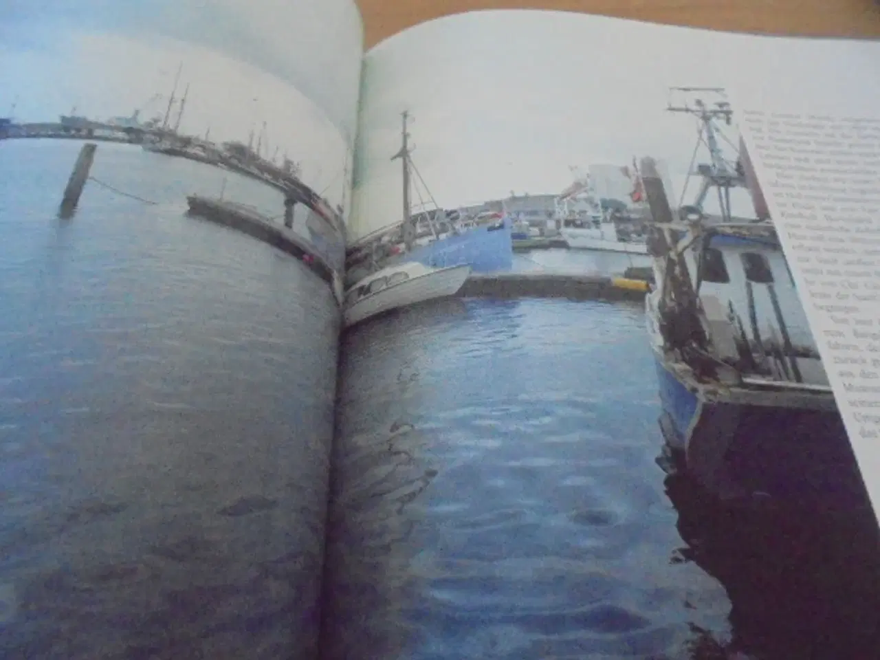 Billede 7 - Frederikshavn mellem hav, skov og bakker