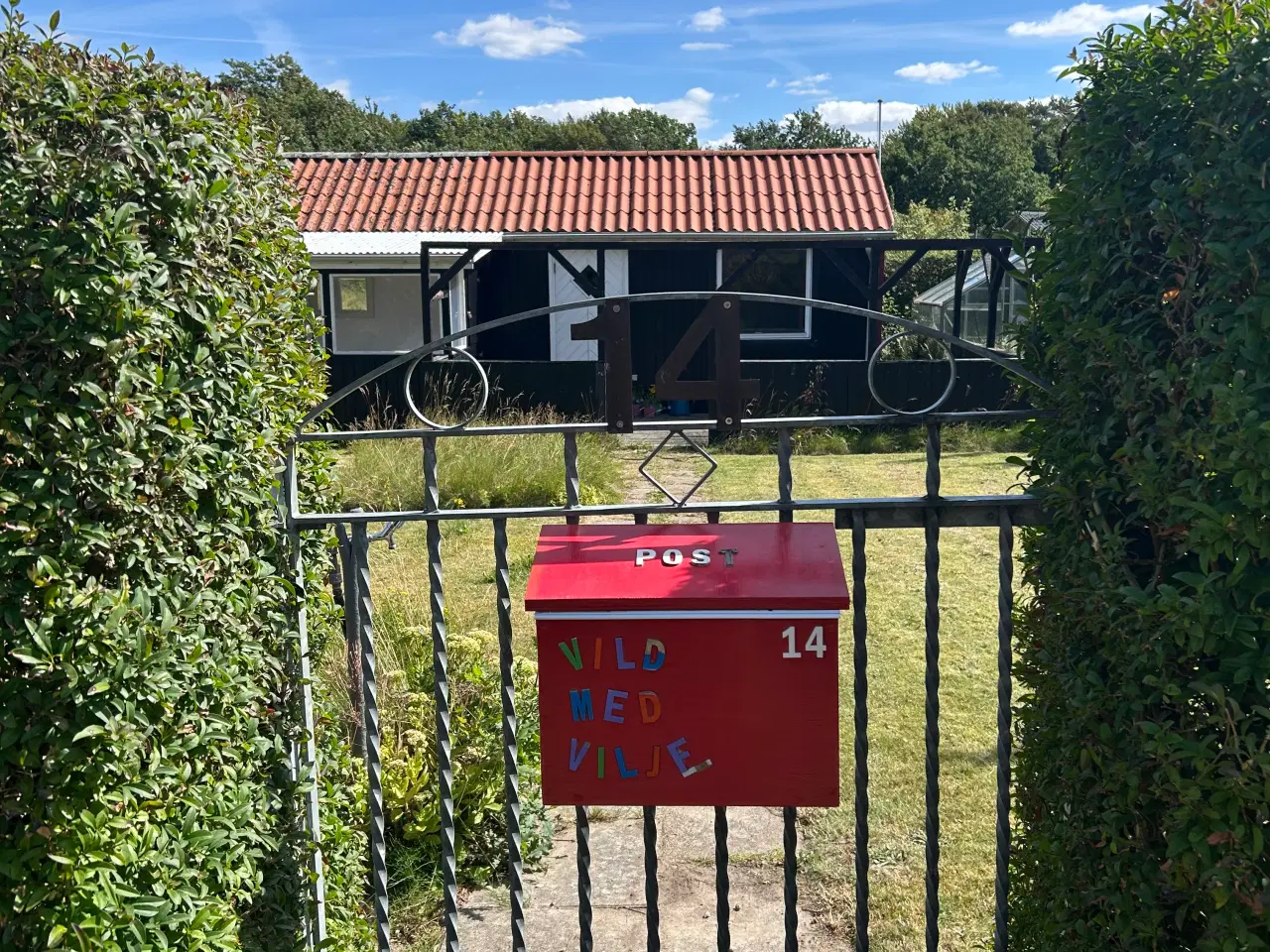 Billede 1 - Solrig kolonihave i Aalborg Ø til salg