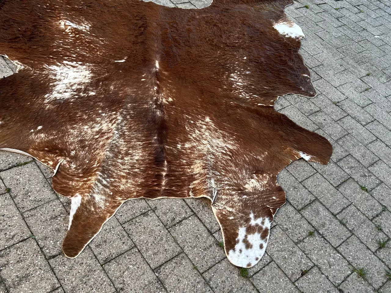 Billede 1 - Ko tæppe i slidstærkt materiale