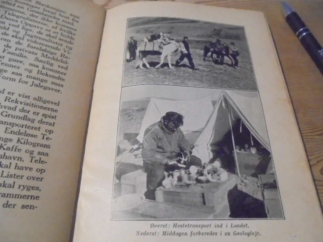Billede 5 - Lauge Koch - Vi flyver over isbjørnens land
