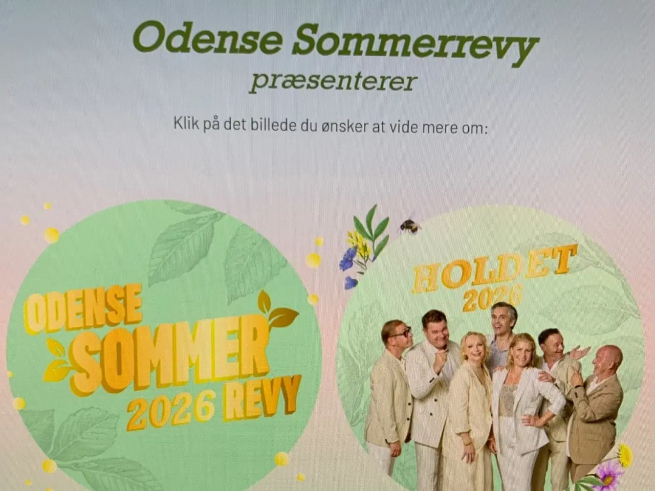 Billede 1 - Odense Sommerrevy, række 4 midt for