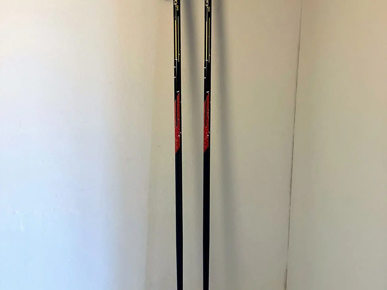 Billede 1 - Skistave