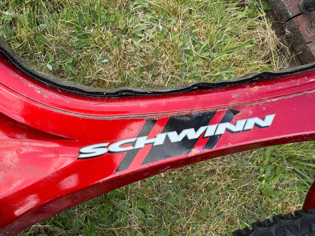 Billede 2 - Schwinn børnecykel sælges