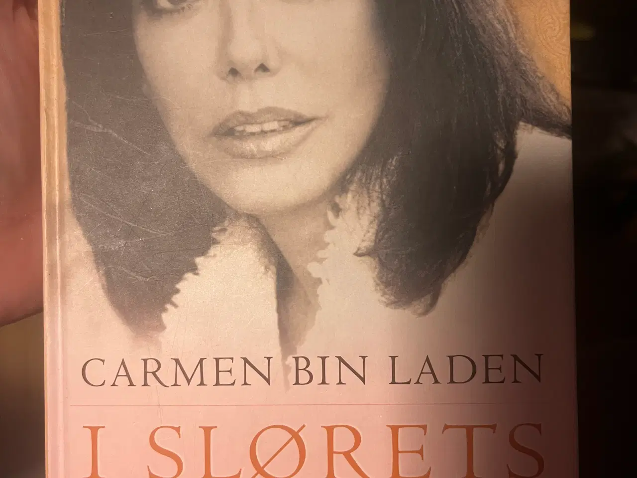 Billede 1 - I slørets rige