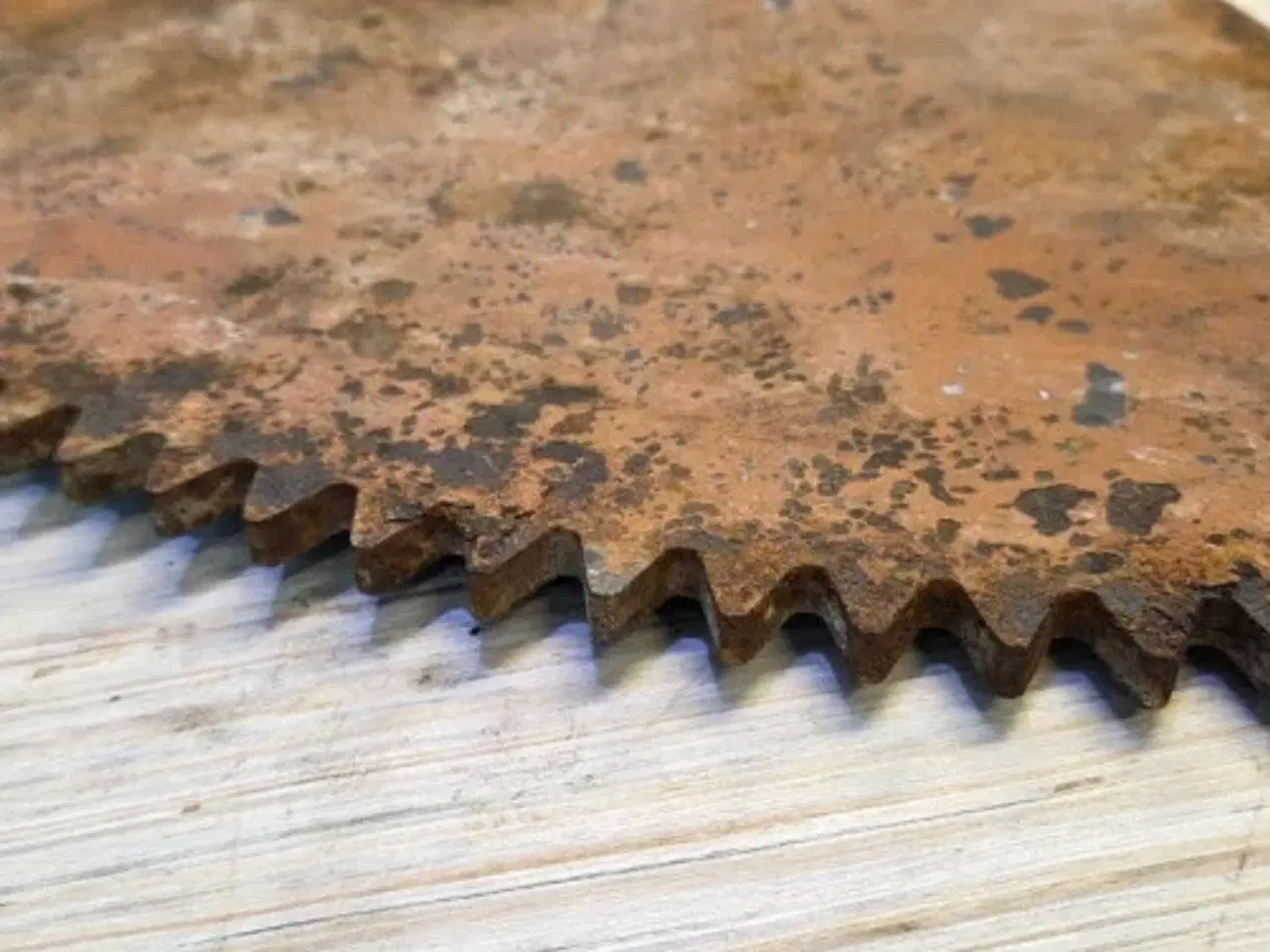 Billede 10 - Laverda 627 Tandsegment 321810150