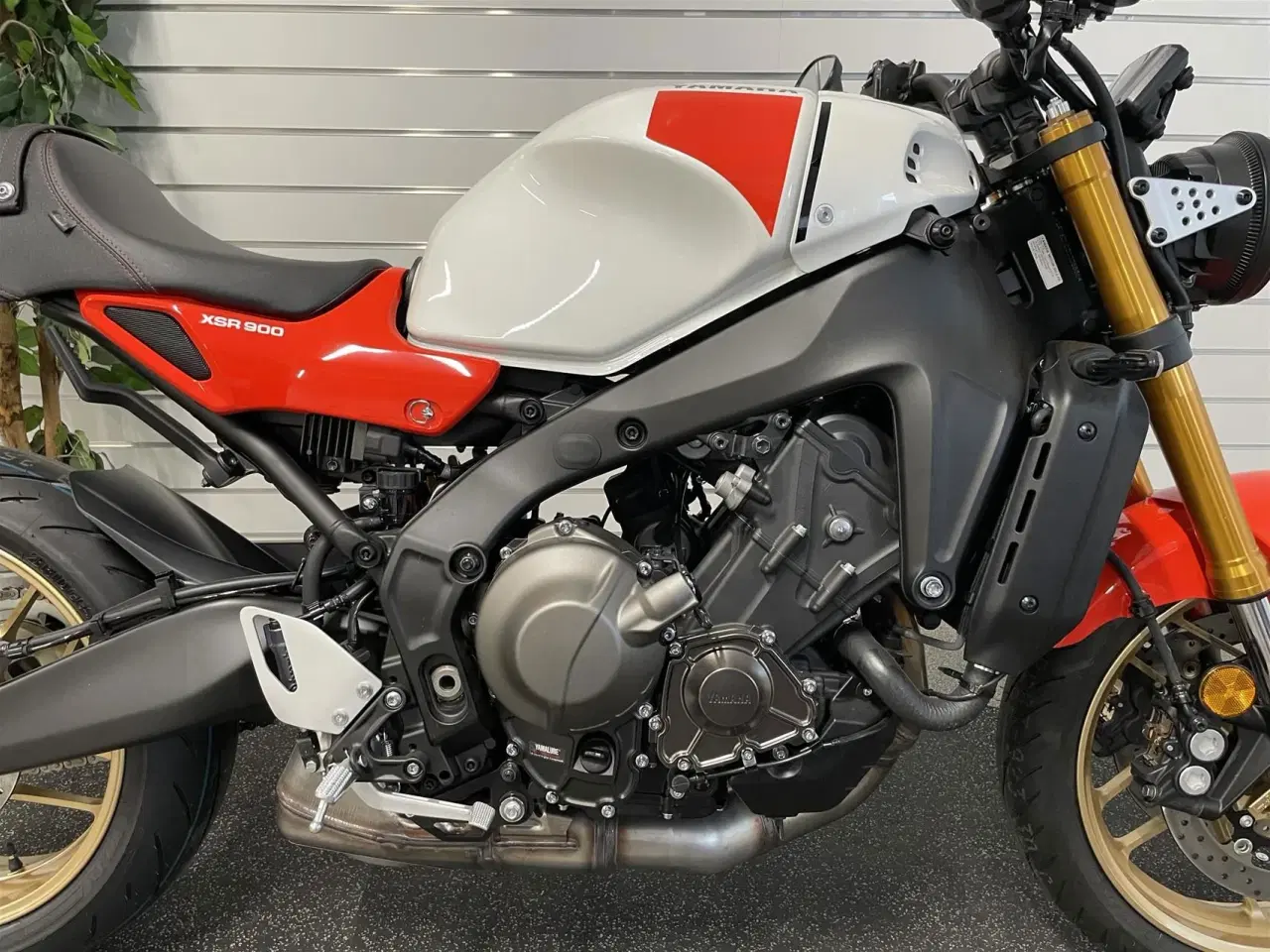 Billede 5 - Yamaha XSR 900 Legend Red