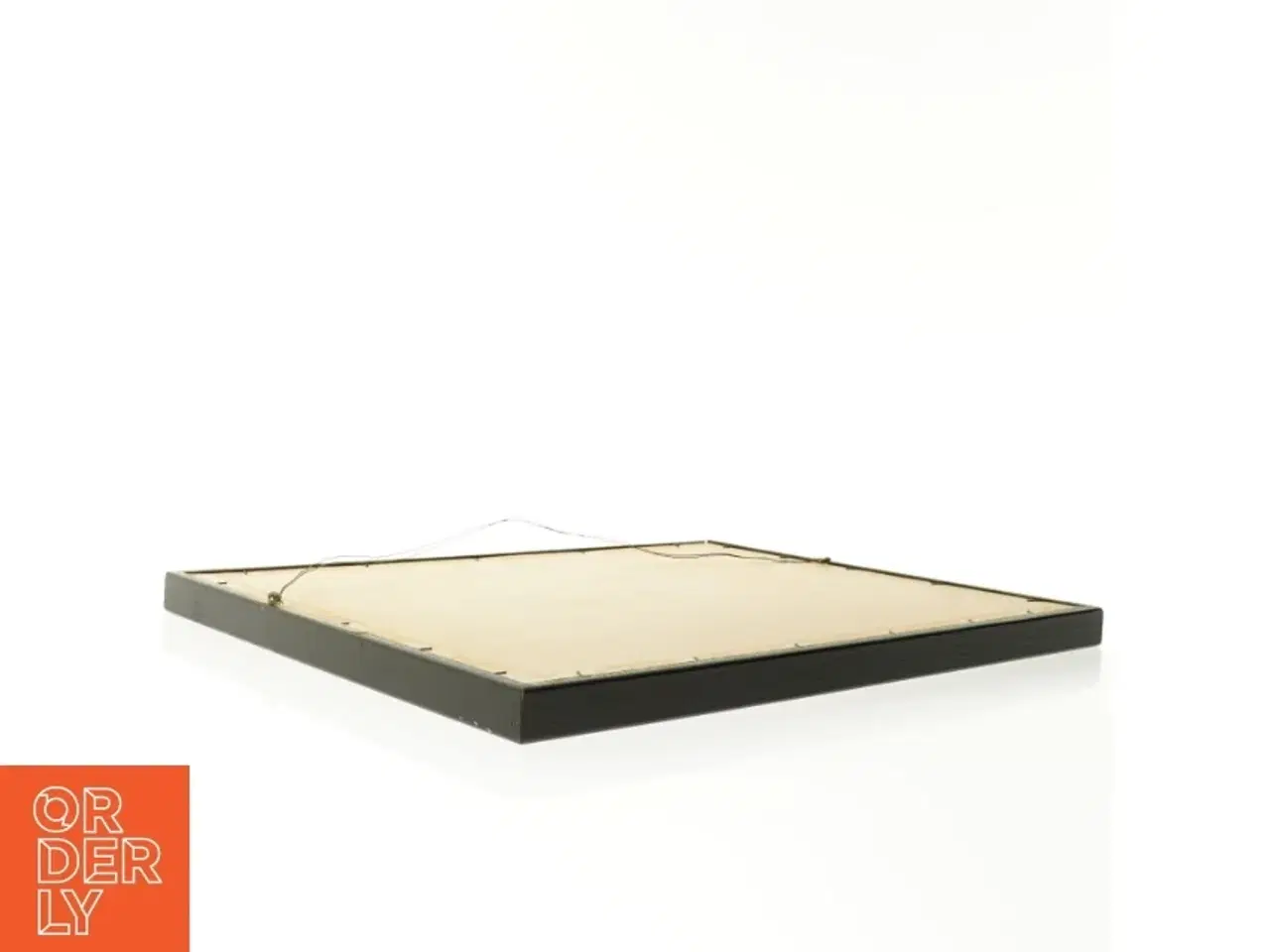 Billede 2 - Indrammet botanisk tryk (str. 40 x 30,5 cm)