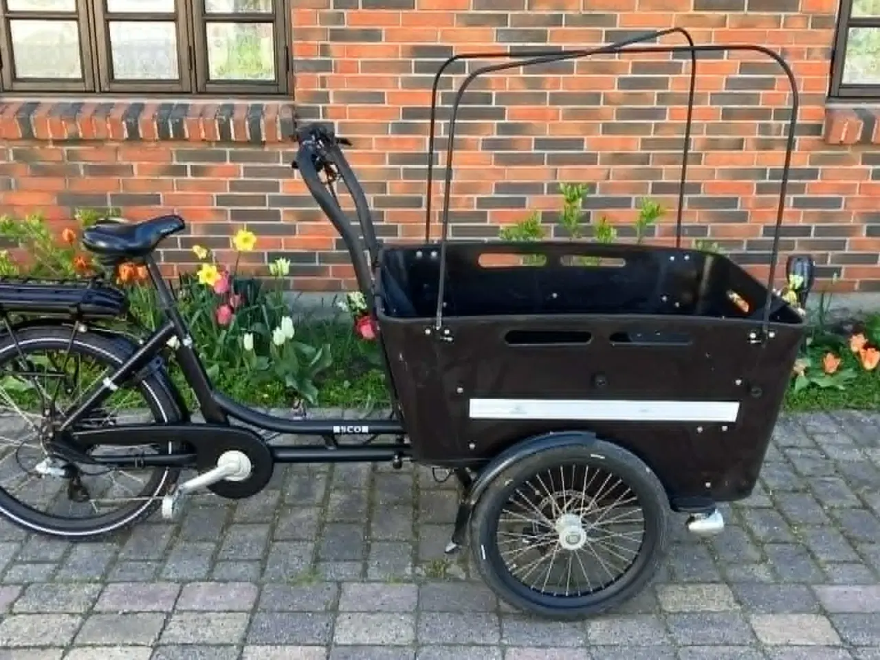 Billede 1 - SMUK EL SCO