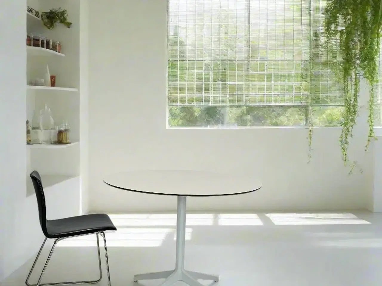 Billede 2 - Pedrali Rundt Bord Ø100