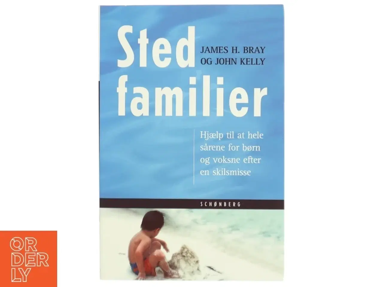 Billede 1 - Bog om stedfamilier af James H. Bray og John Kelly fra Schønberg