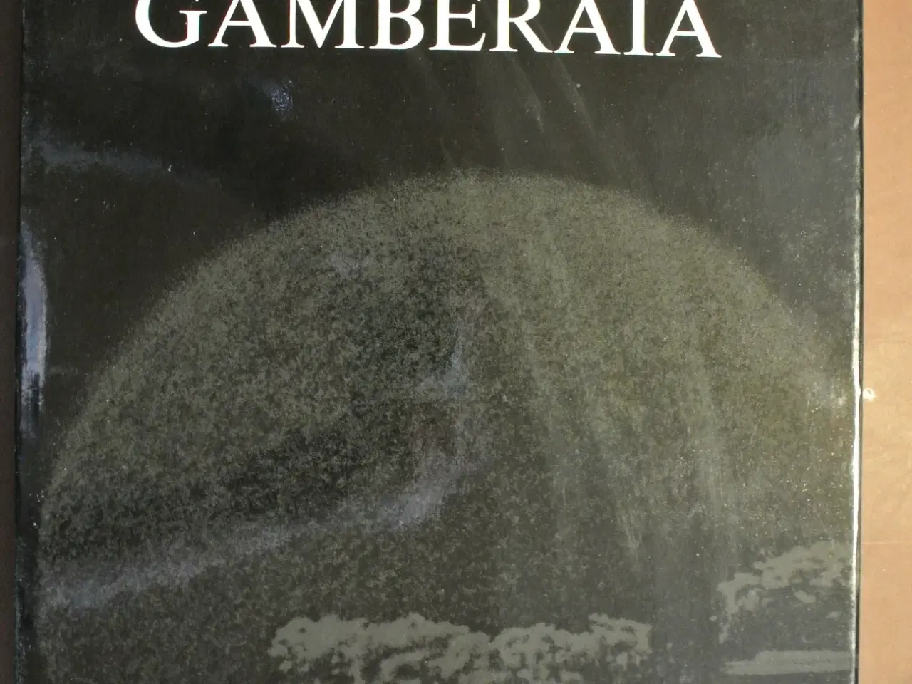 Billede 1 - gamberaia photo essay by balthazar korab