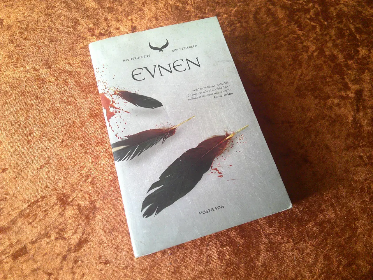 Billede 1 - Evnen, Siri Pettersen