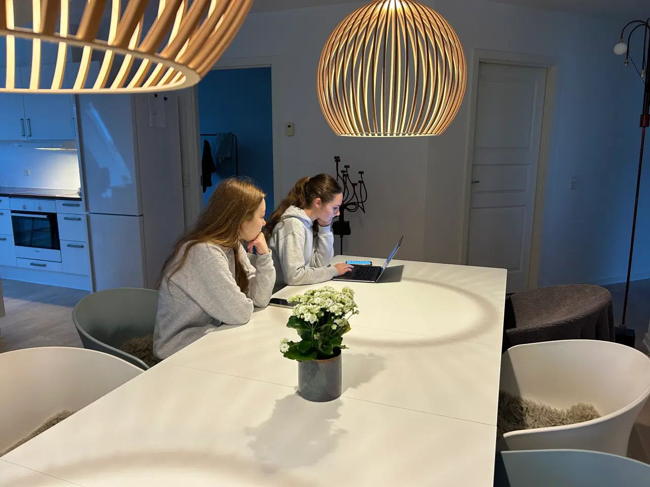 Billede 1 - Secto Design Octo 4240 Pendel Valnød