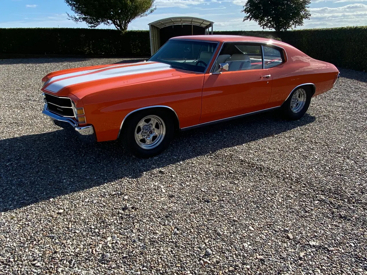 Billede 2 - Voldsom Chevelle ‘71 505 Cui