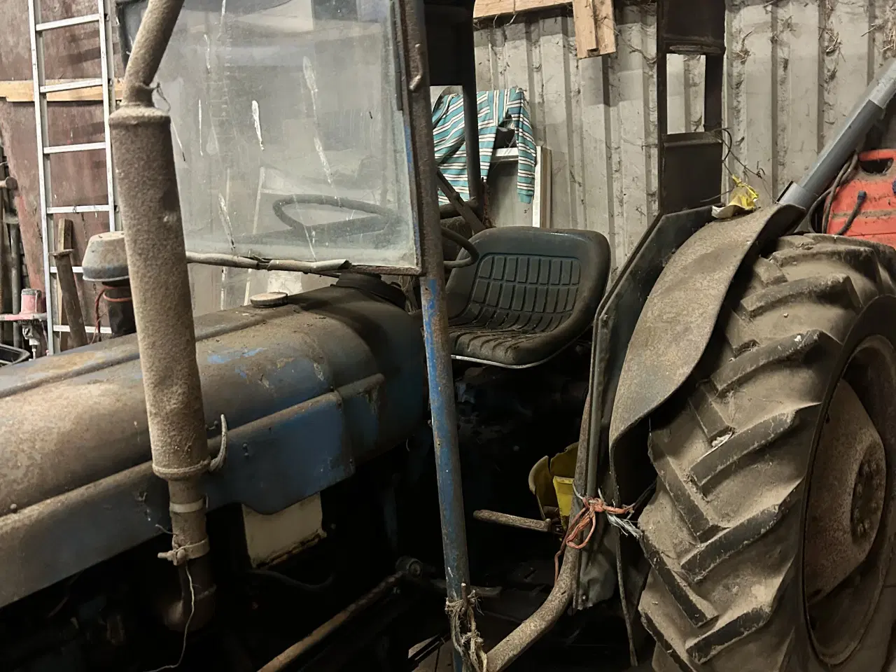 Billede 5 - Dexta - med mange gode minder