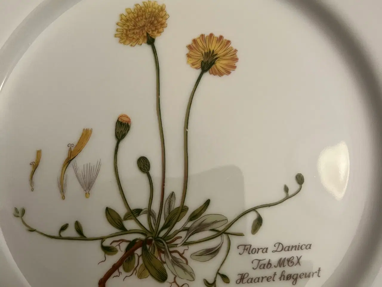 Billede 2 - Flora Danica tallerkener 