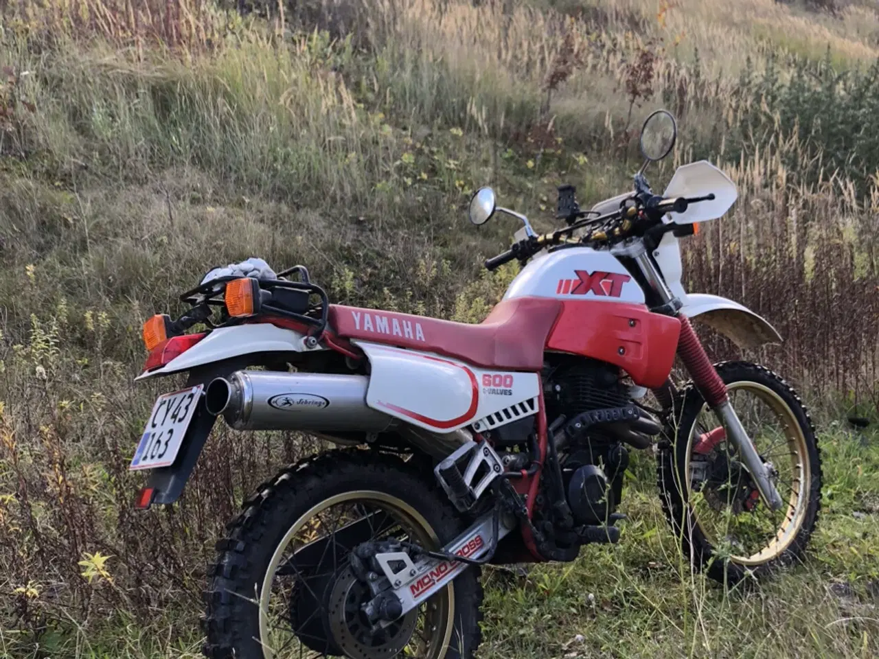 Billede 3 - Yamaha XT 600