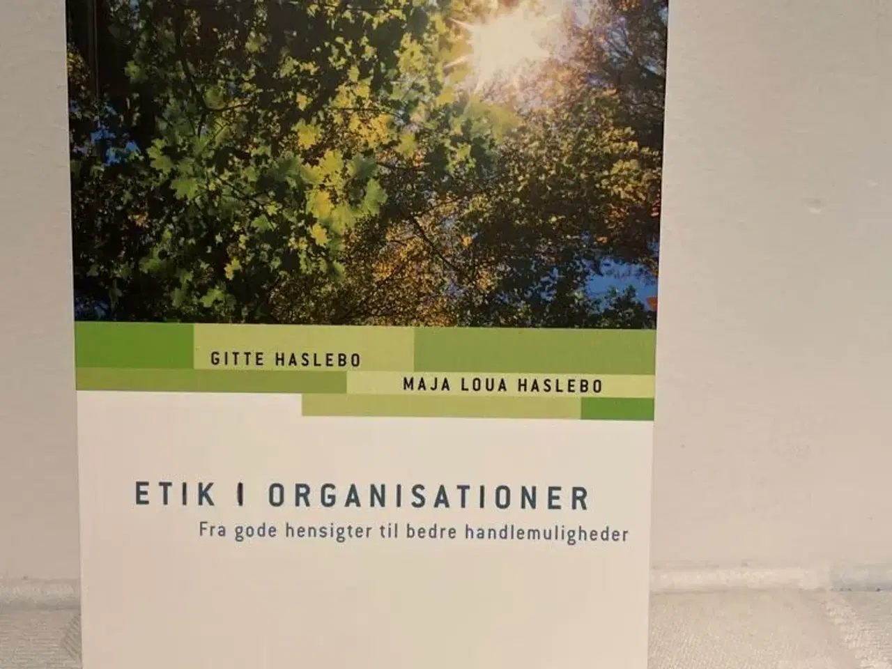Billede 1 - Etik i organisationer