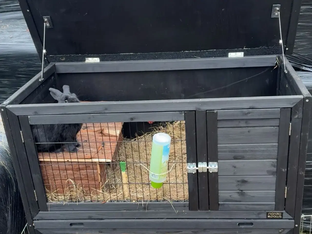 Billede 3 - Stor kanin pakke