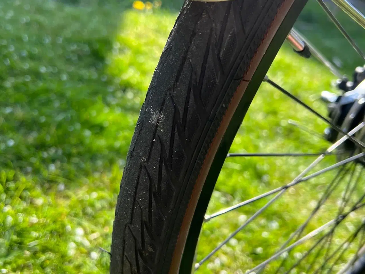Billede 6 - Herrecykel Cortina Crush 57cm