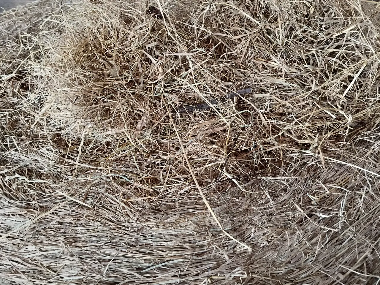 Billede 2 - Rundballer Hø