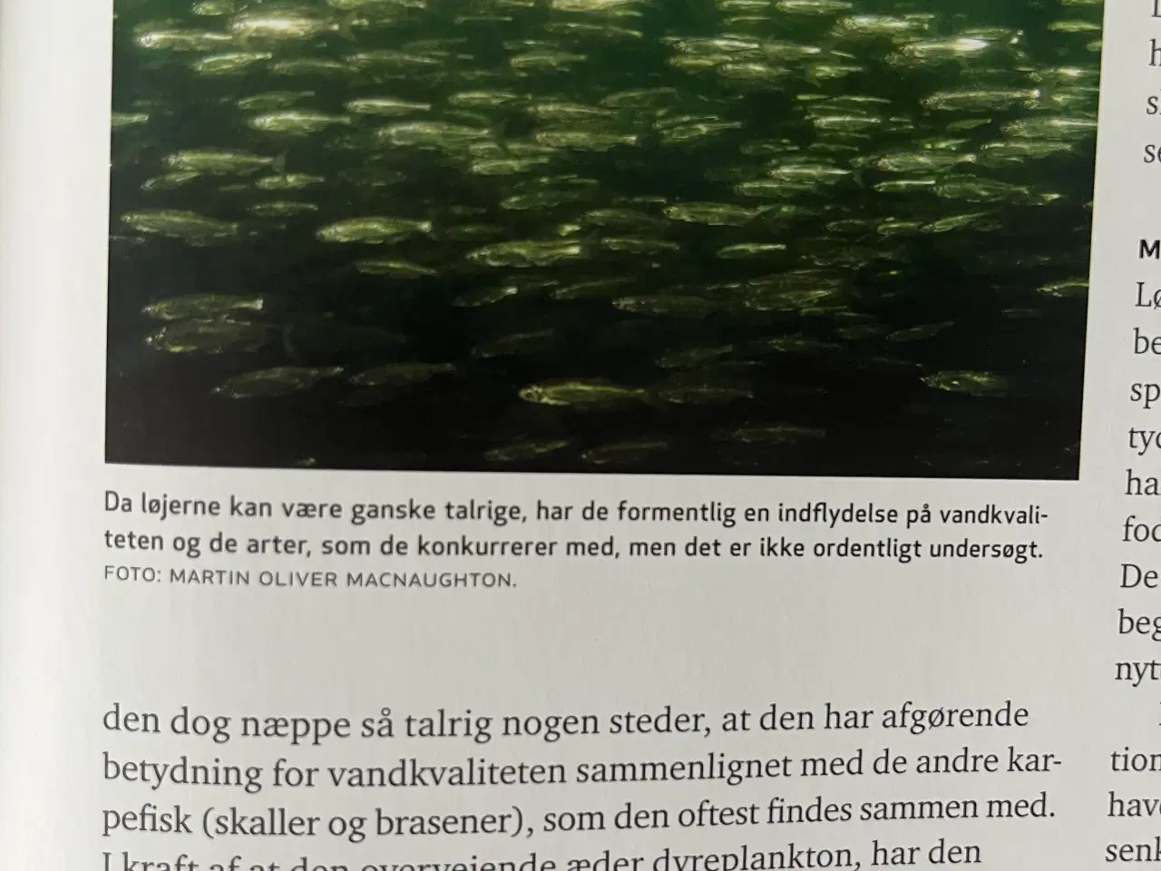 Billede 13 - ATLAS OVER DANSKE FERSKVANDSFISK 