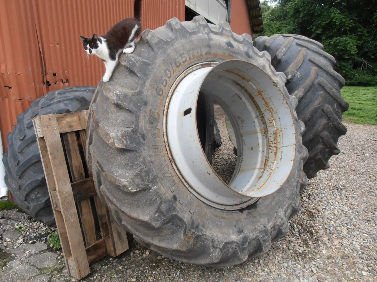 Billede 3 - 650/65R42" Tvillingehjule med ring .