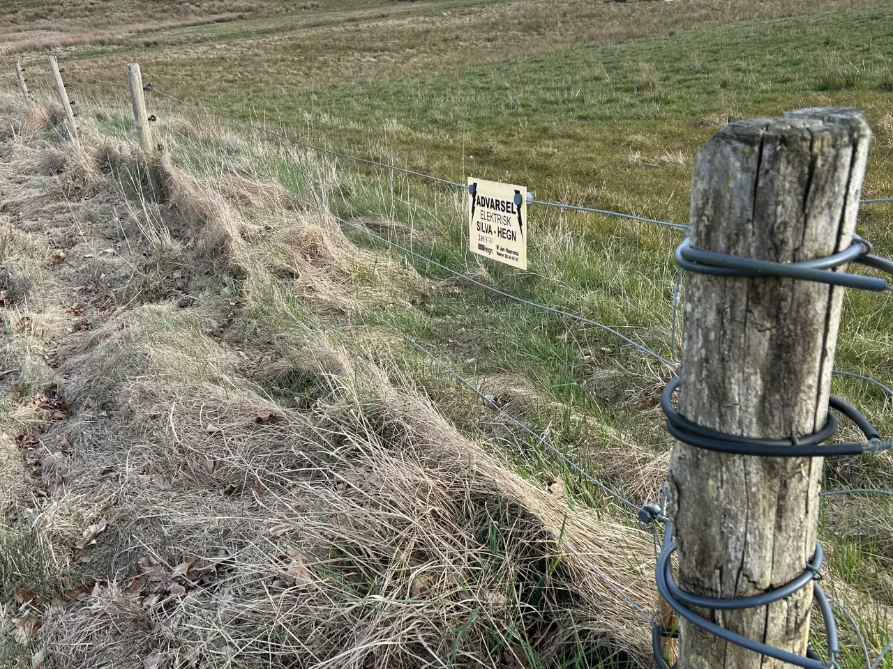 Billede 4 - Gratis hegn ved hurtig afhentning