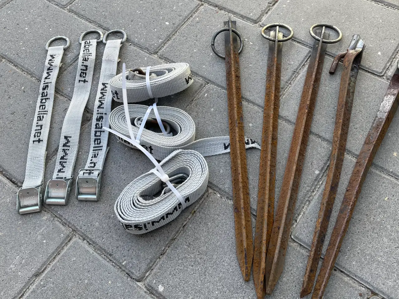 Billede 2 - Jordspyd 40 cm med stormbånd Isabella