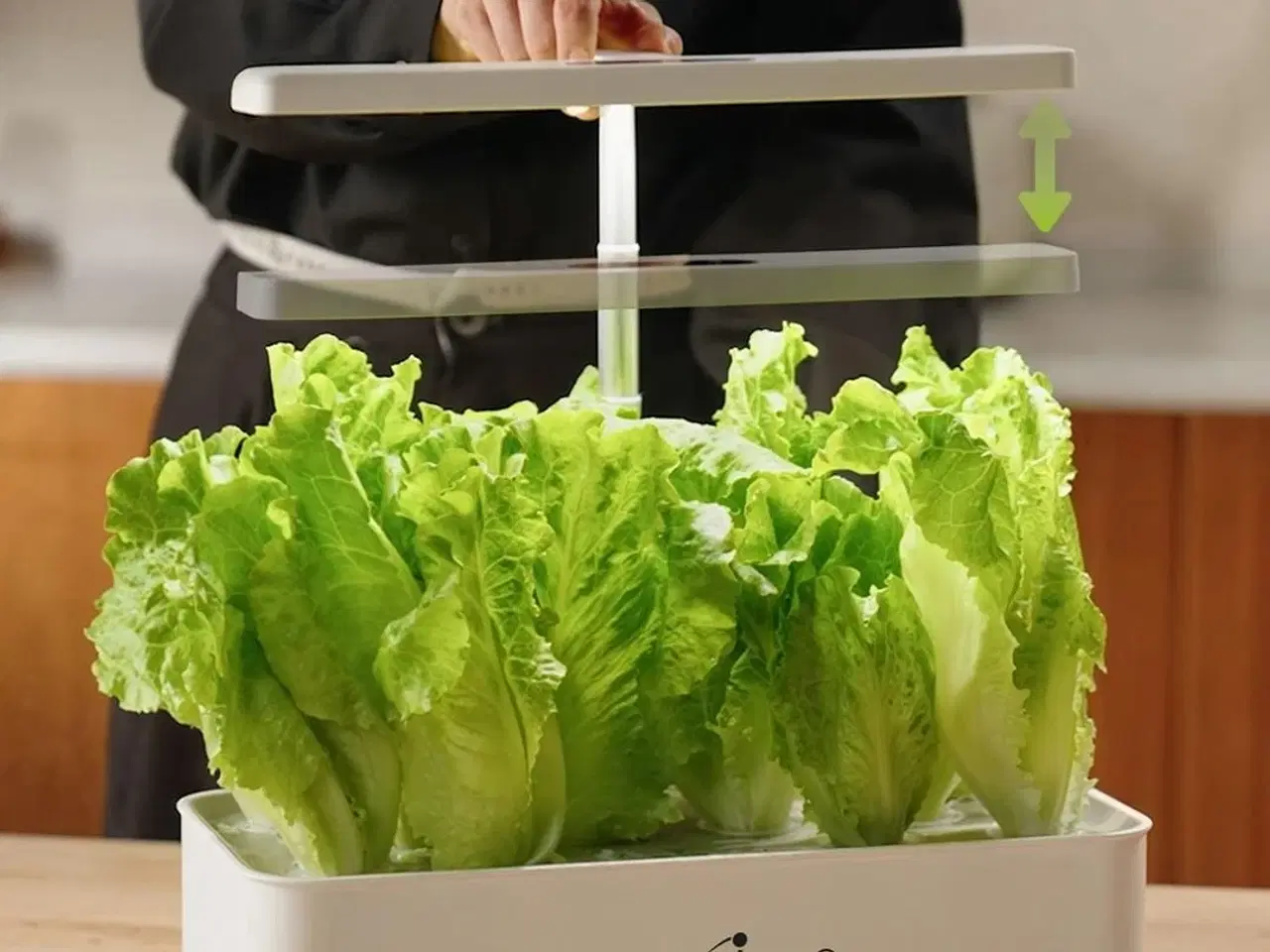 Billede 7 - Smart indendørs dyrkningssystem – GreenBlue, 4 l, 12 planter, fuldspektrum LED