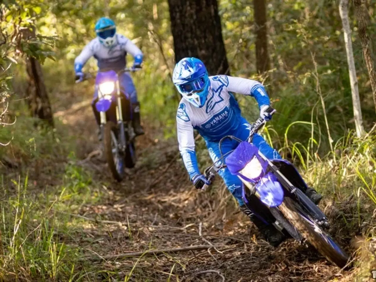 Billede 5 - Yamaha WR 450 F