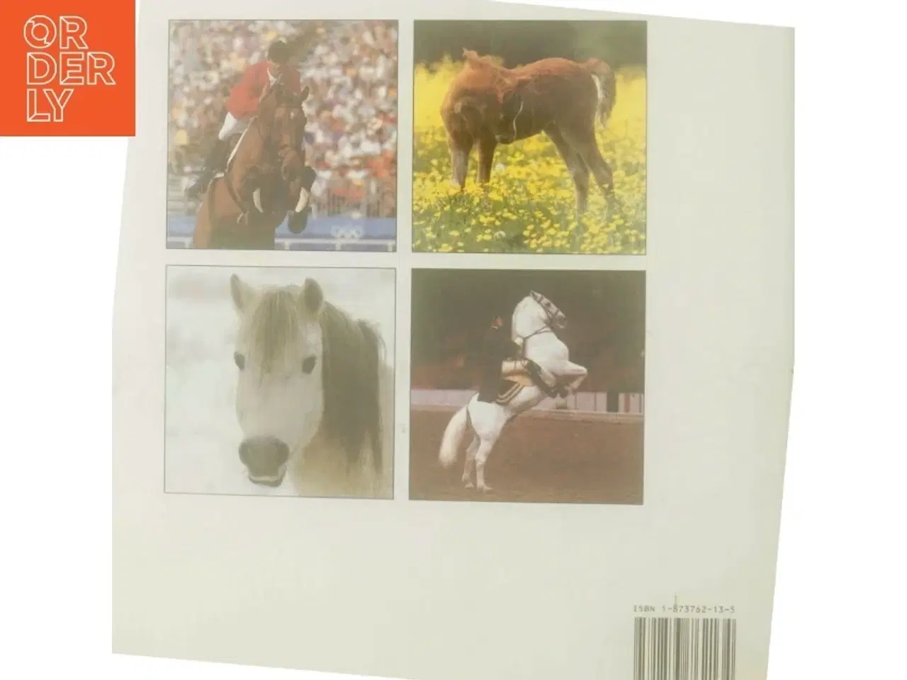 Billede 3 - World of Horses af Angela Rixon (Bog)