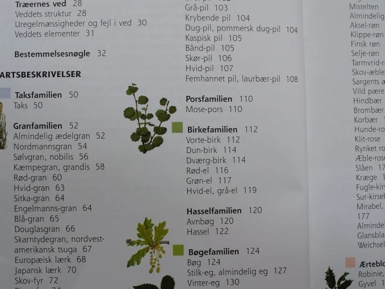Billede 2 - træer og buske i landskabet, af helge vedel og jet