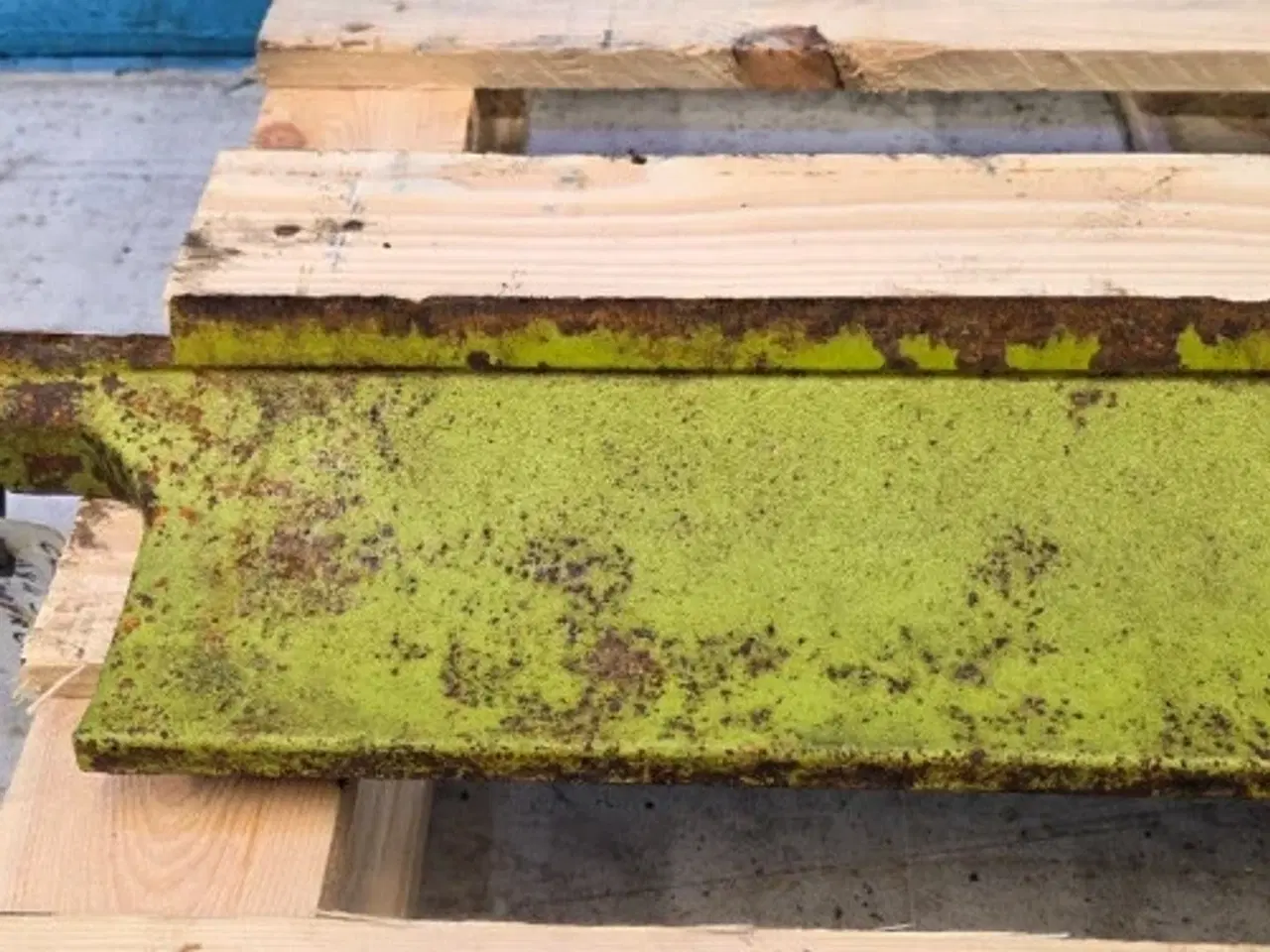 Billede 10 - Claas Jaguar 850 Kniv Plade 9843395