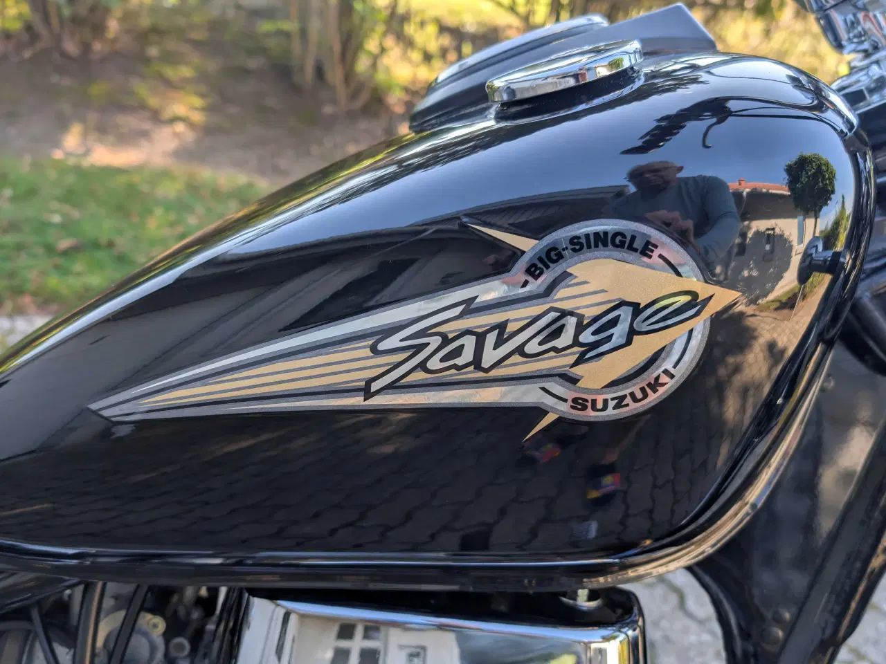 Billede 1 - Suzuki LS650 Savage