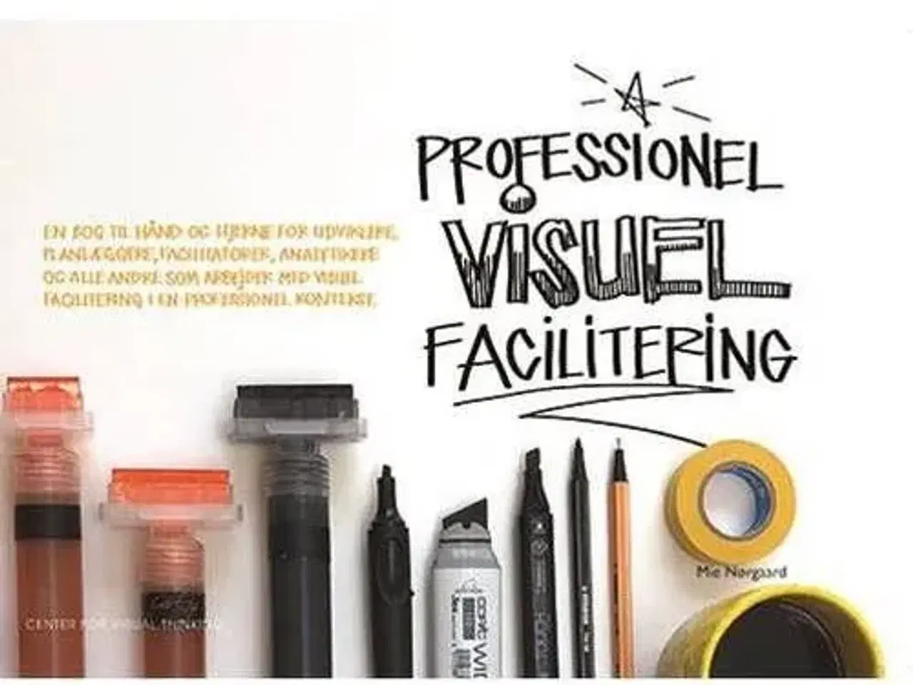 Billede 1 - Professionel visuel facilitering