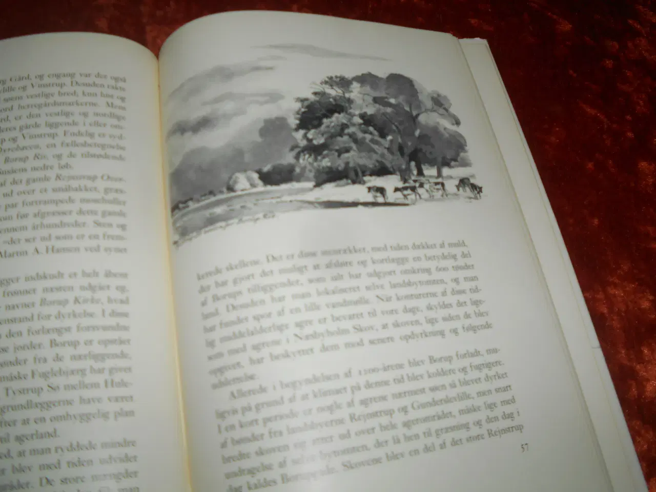 Billede 3 - Langs Susåen, Knud Dahl