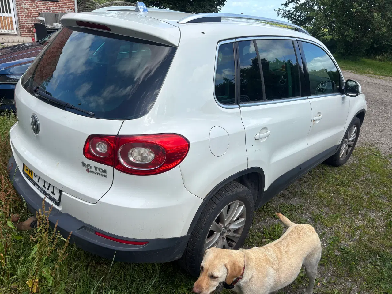 Billede 4 - Vw tiguan 4 motion