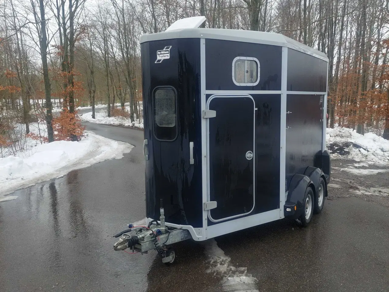 Billede 9 - Stærk hestetrailer sælges