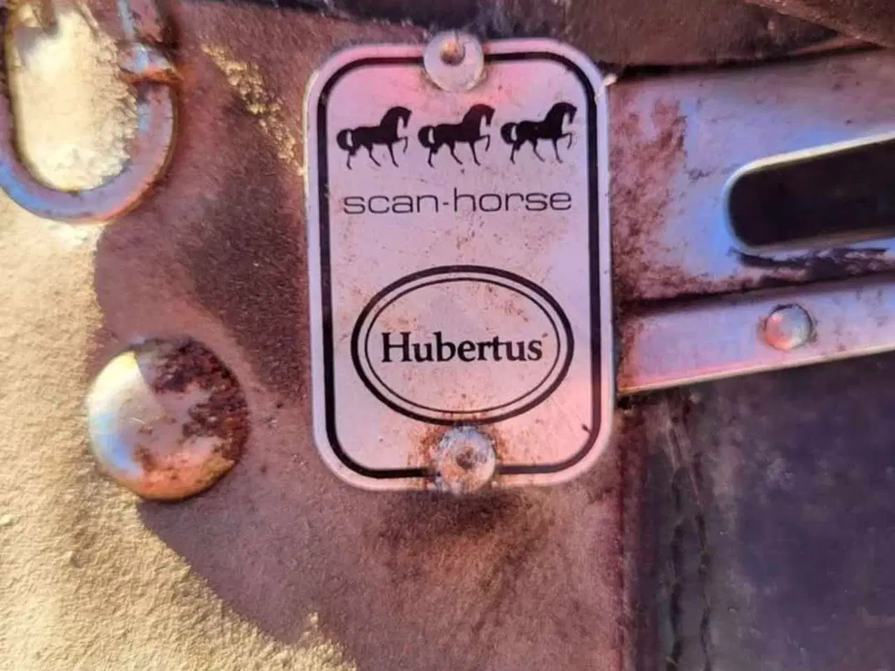 Billede 5 - 🐴 To sadler sælges - Hubertus-sadel