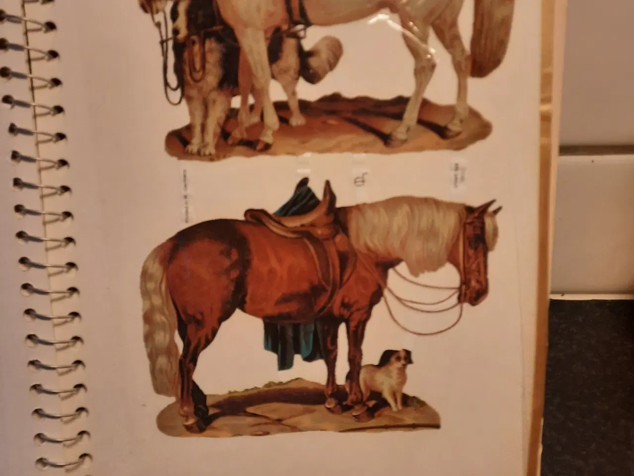 Billede 14 - Glansbilledalbum 20 sider