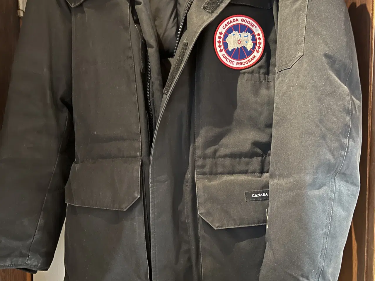 Billede 3 - Canada goose 
