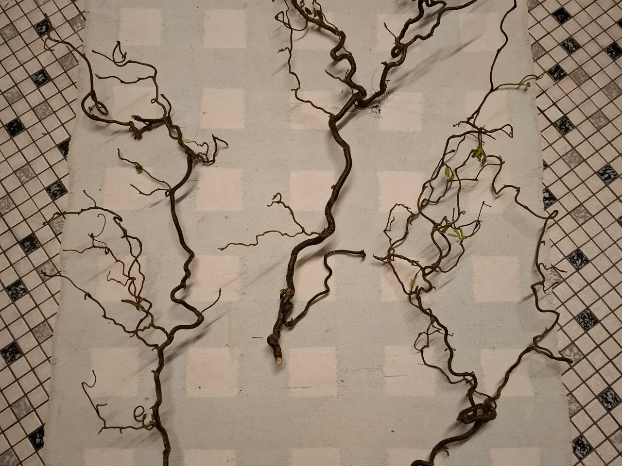 Billede 2 - Troldegrene flere størrelser