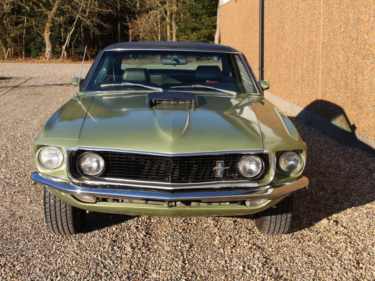 Billede 7 - Ford Mustang 