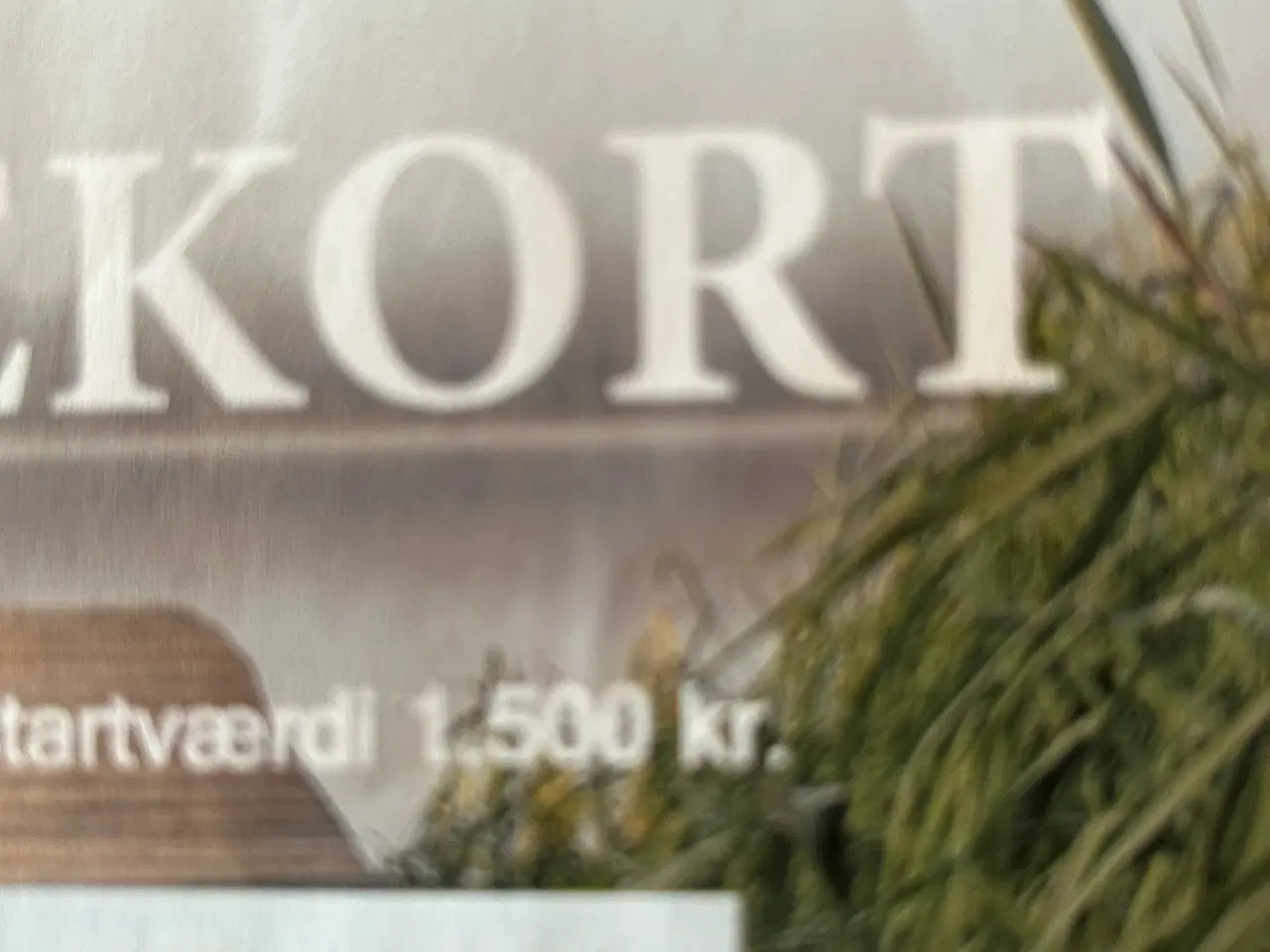 Billede 2 - Gavekort 